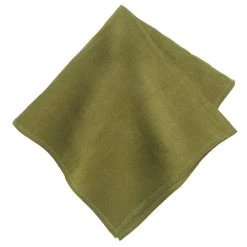 Saint-Rémy D'Or Et Vert Napkins 22x22 - Set Of 6