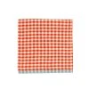 Two-Tone Gingham Napkins Orange & Aqua, Set Of 4