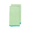 Two-Tone Gingham Kitchen Kitchen Towels Lime & Aqua, Set Of 2